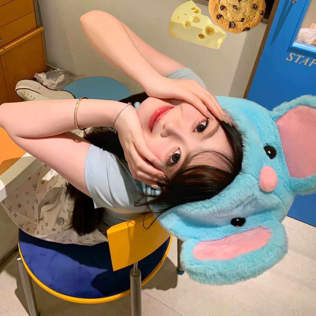 肥猪